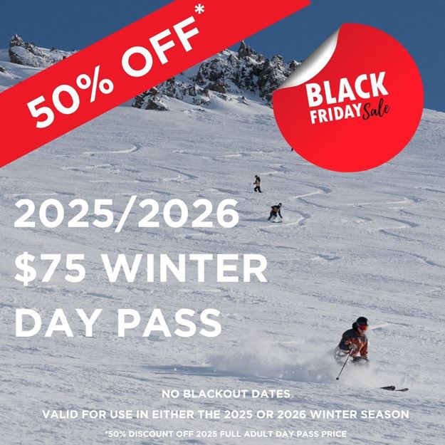 Picture of Black Friday Day Pass