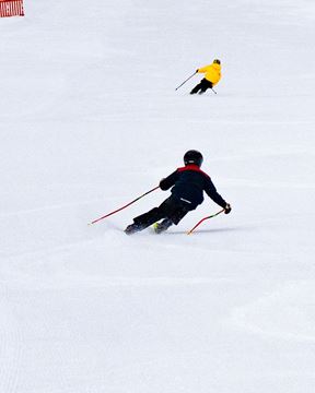 Picture of Development Squad Demo Day