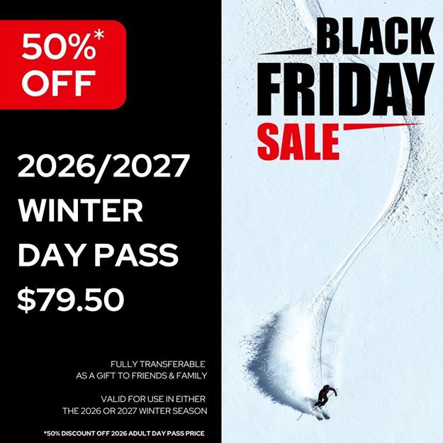 Picture of 2026 Black Friday Day Pass